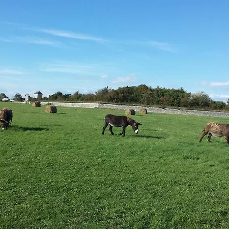Appartamento Beau T3 *** pour 2 à 4 pers avec patio privatif La Couarde-sur-Mer Esterno foto