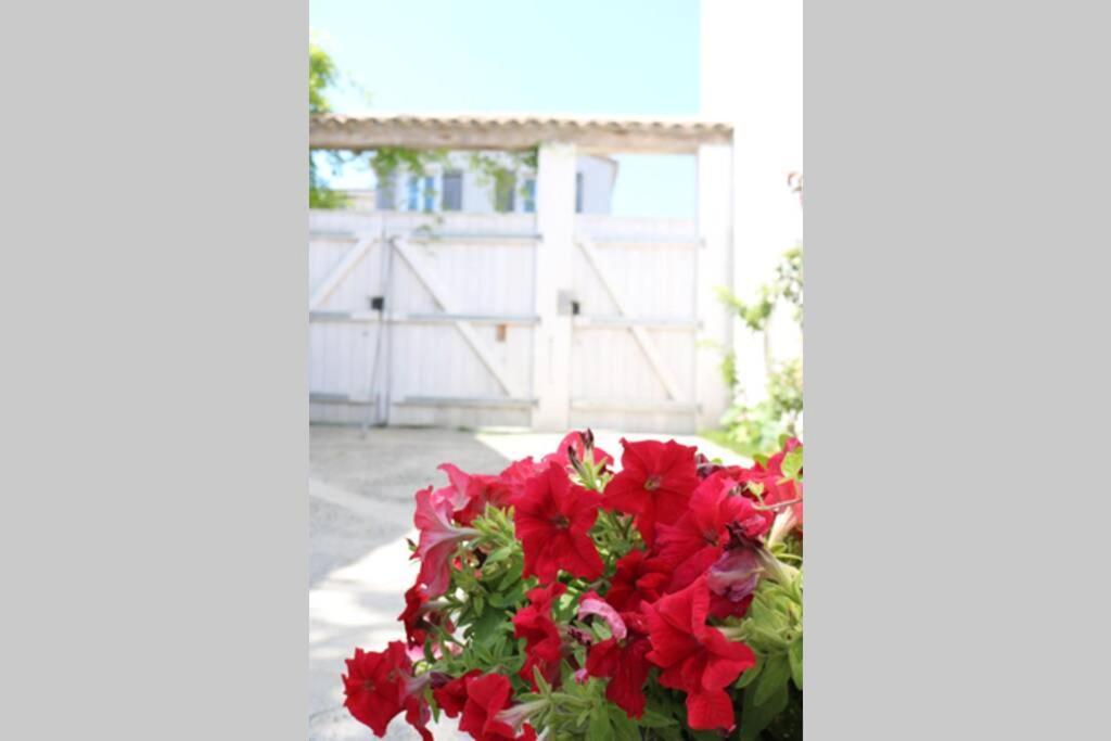 Beau T3 *** Pour 2 A 4 Pers Avec Patio Privatif * La Couarde-sur-Mer